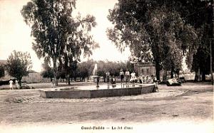 1186- Oued-Fodda - Le Jet d'eau